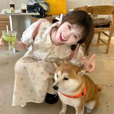 隔篱屋有宝